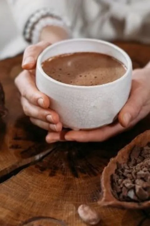 Cacao ceremony at palace hostel mysore