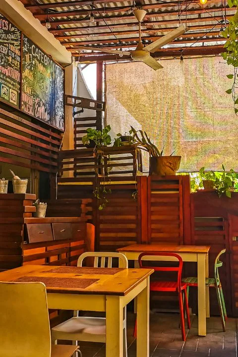 Colourful cafe seating with wooden decor and plants in Gokulam, Mysore