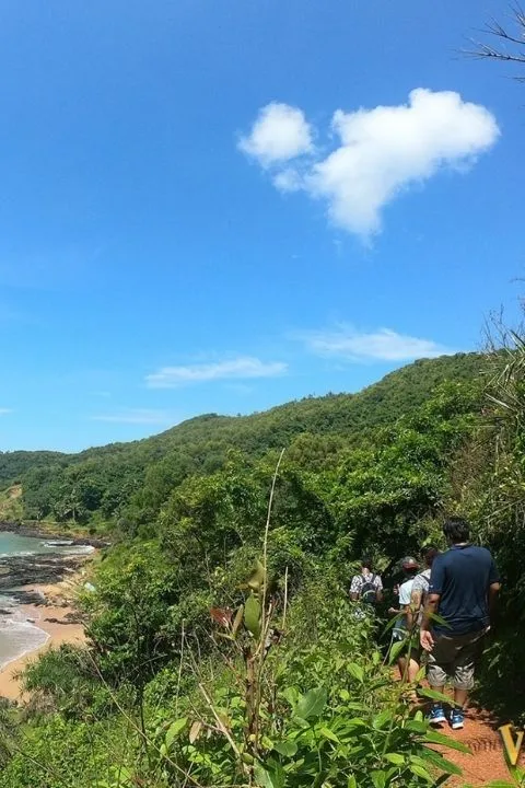 Group of people trekking through a green coastal trail overlooking the sea