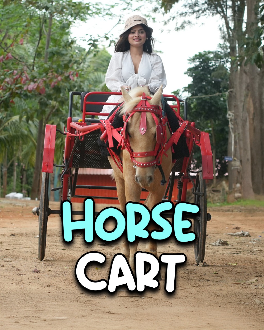 Visitor Riding Horse Cart