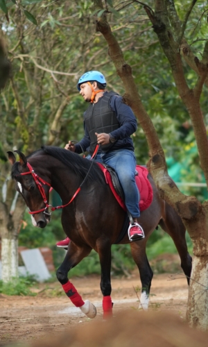 Horse riding activity at Suggee Resort, resort in Bangalore