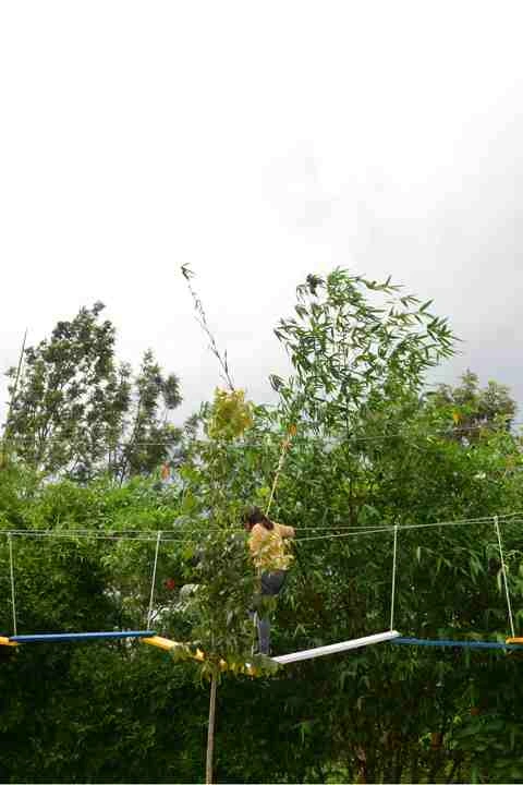 Zig-Zag walk activity at Suggee Resort, resort in Bangalore