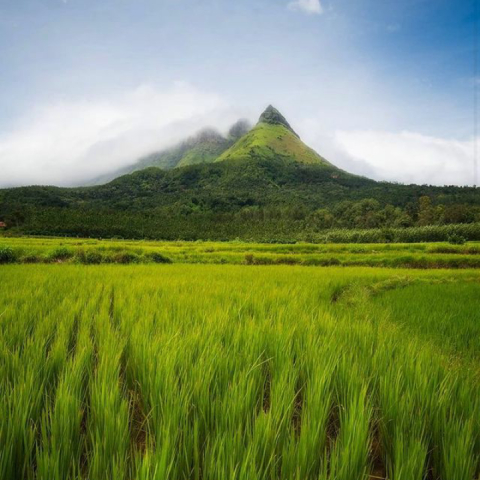 Chikmagalur