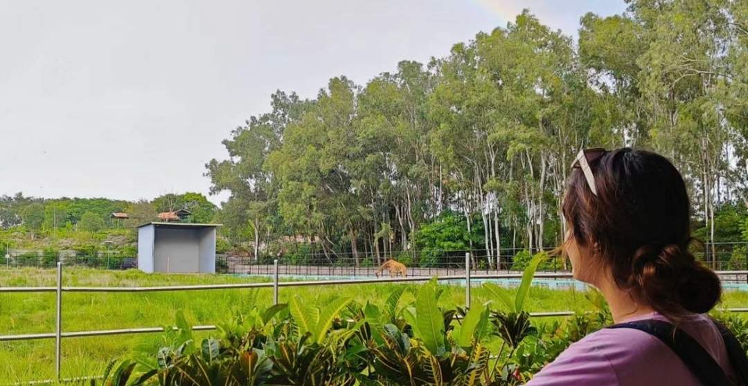Tourist enjoying in misty park
