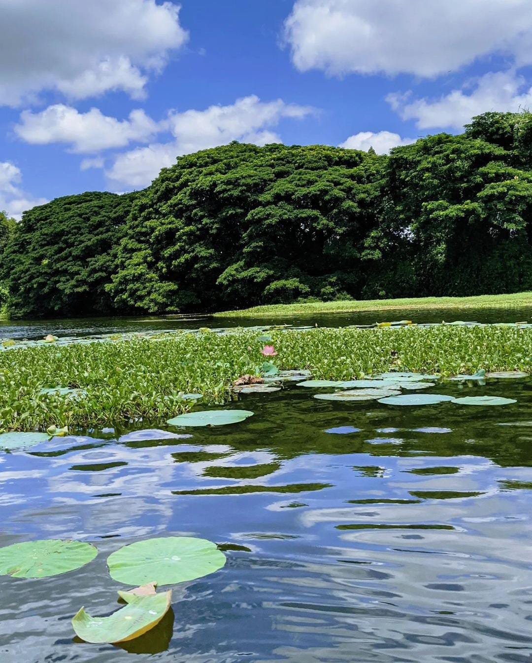 Karanji Lake