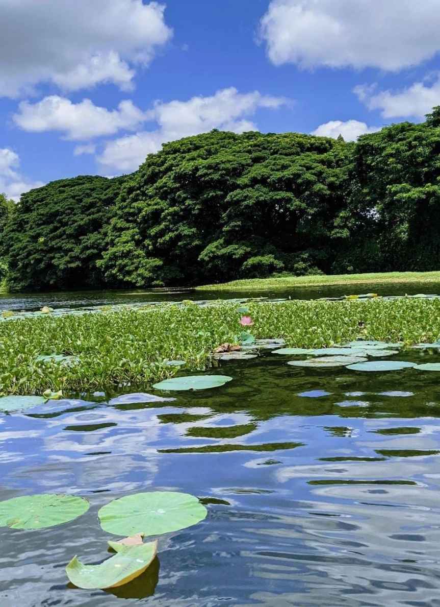 Karanji Lake