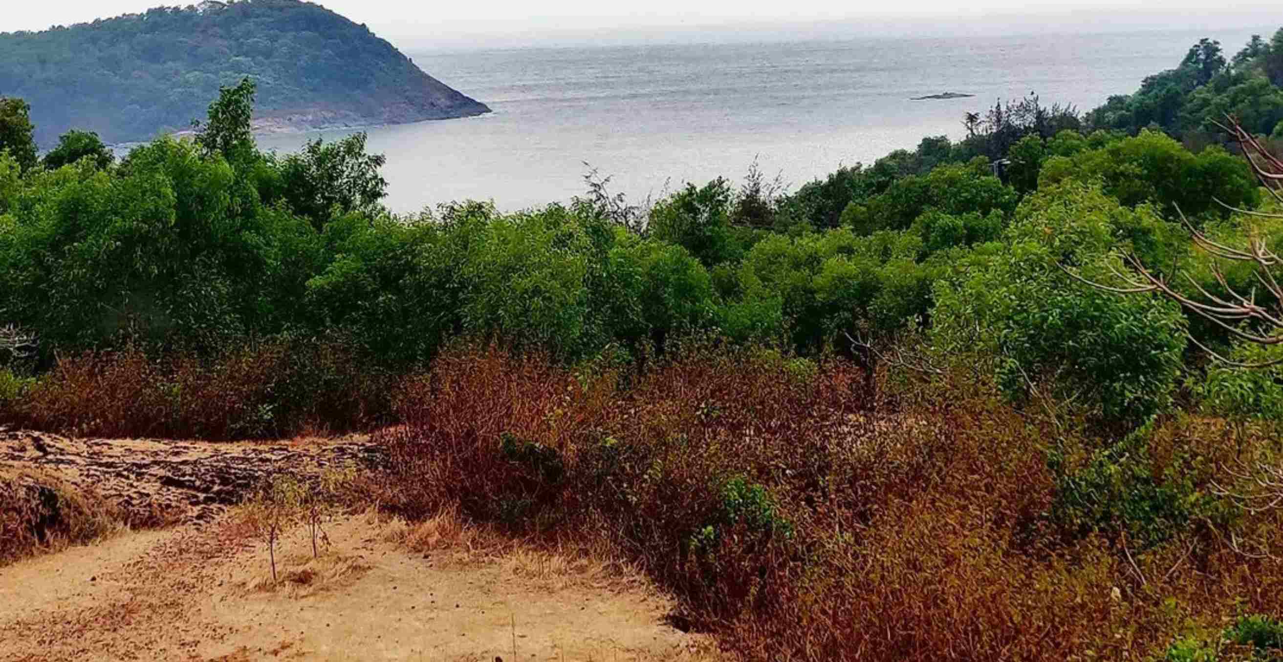 view from shiva cave