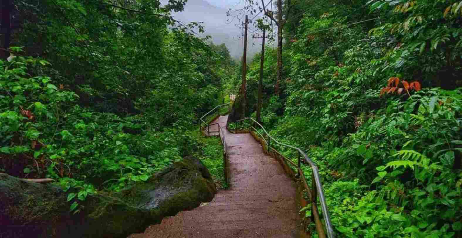 walkways at Yana Caves