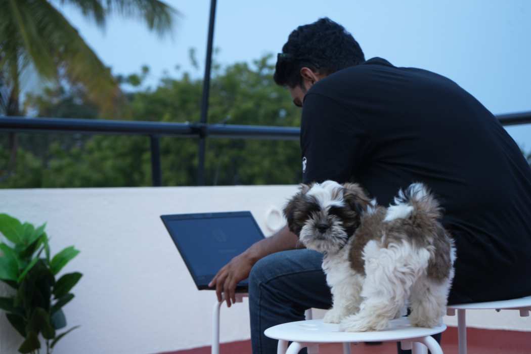 Guest working on a laptop on the terrace at Palace Hostel by Borrbo, Mysore