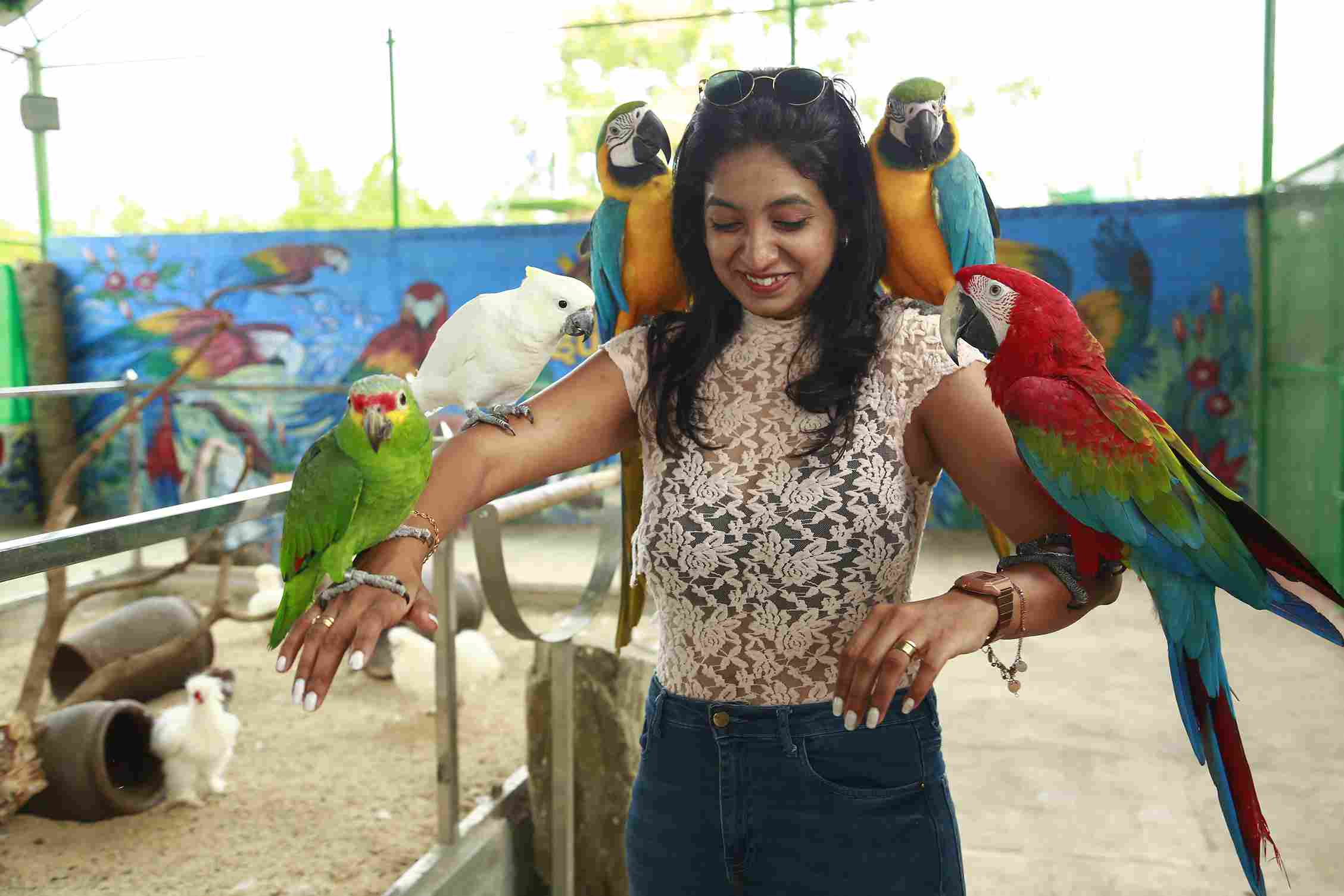 Bird Aviary in Banglore