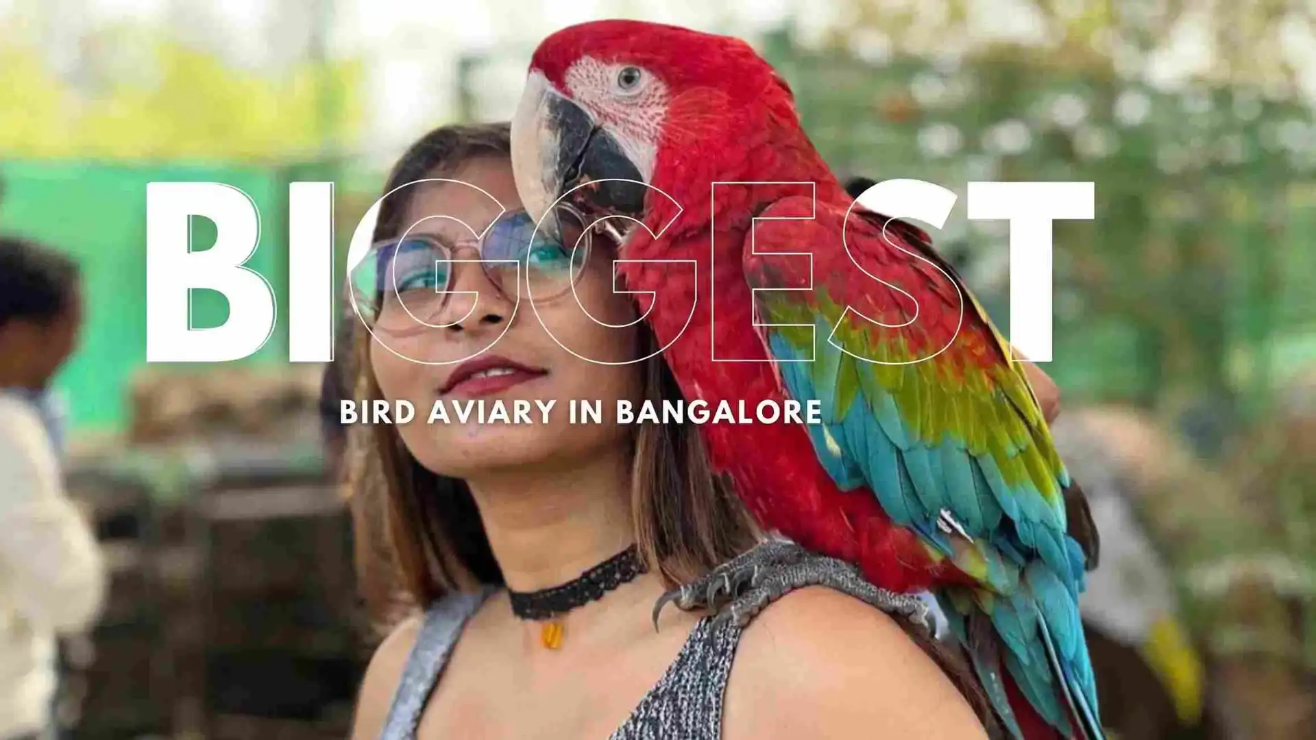 Bird aviary with exotic birds at Suggee Resort Bangalore