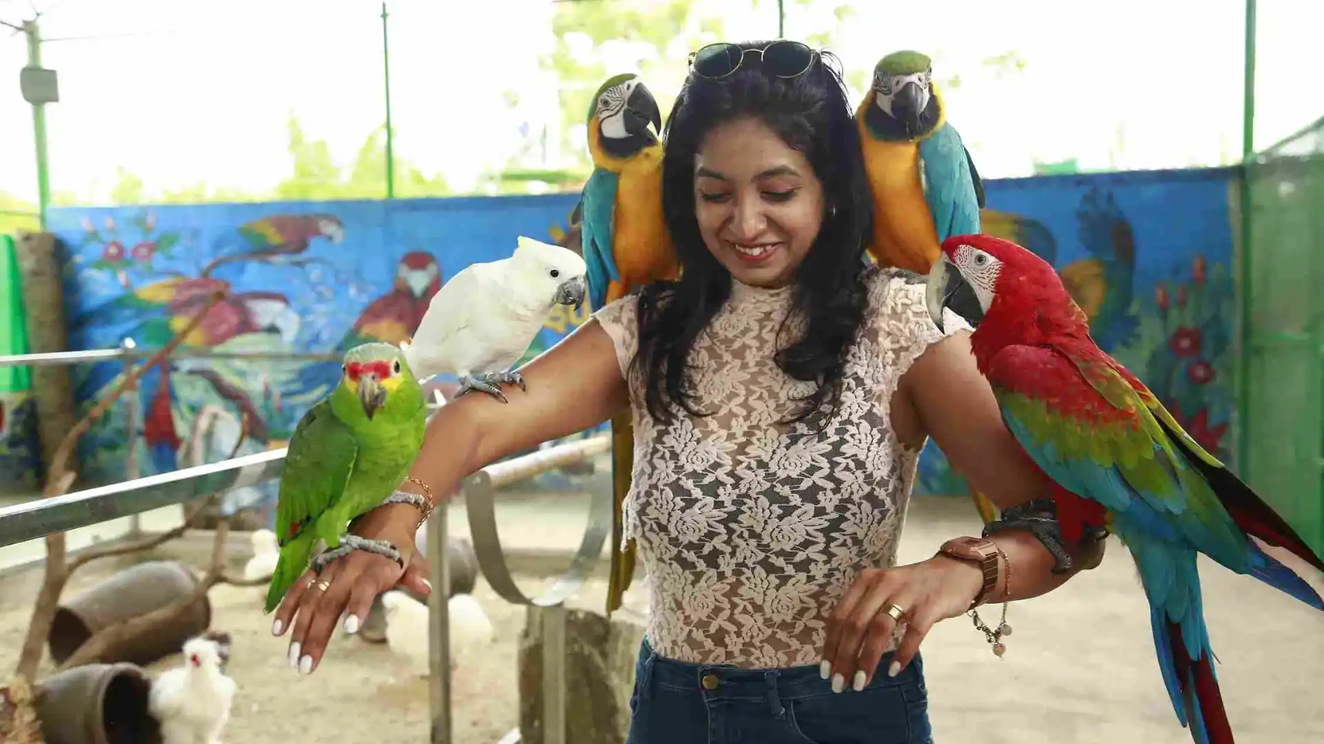 Bird aviary enclosure at Suggee Resort Bangalore