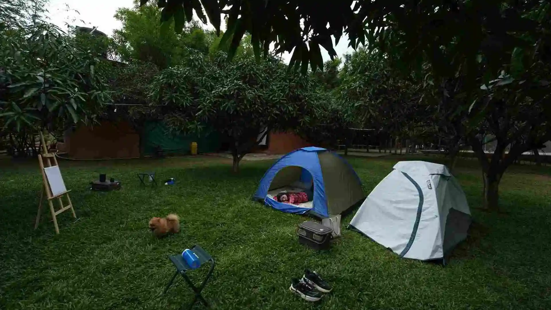 Misty camping area on the lawn at Suggee Resort