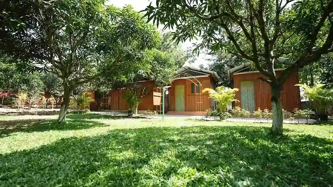 Wooden hut exterior stay option at Suggee Resort