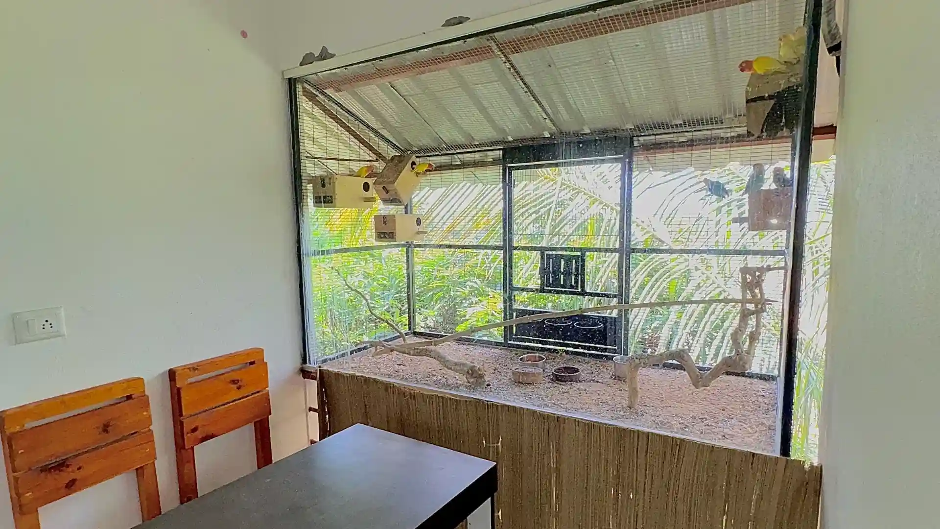 Bird lounge room interior at Suggee Resort
