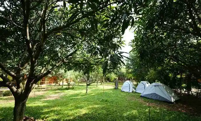 View of the Misty Camp at Suggee Resort