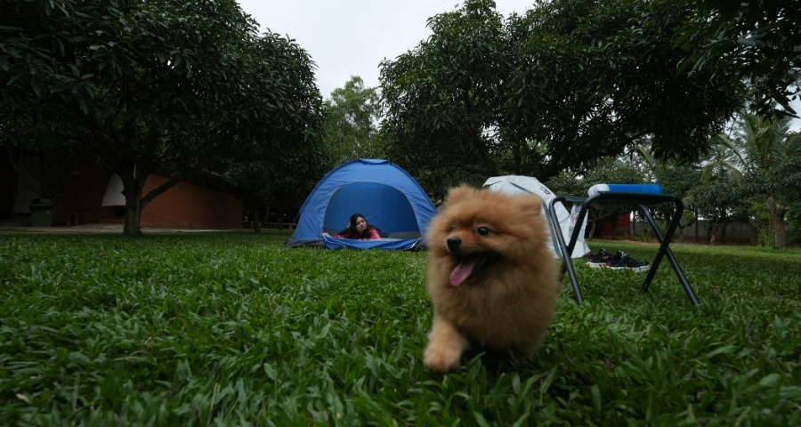 Pet-friendly resorts in Bangalore