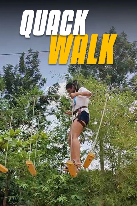 Quack Walk