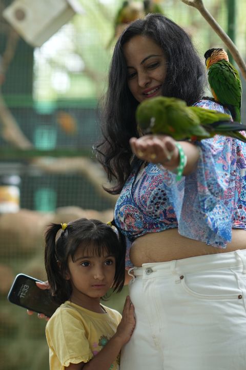 Kids Bird Aviary